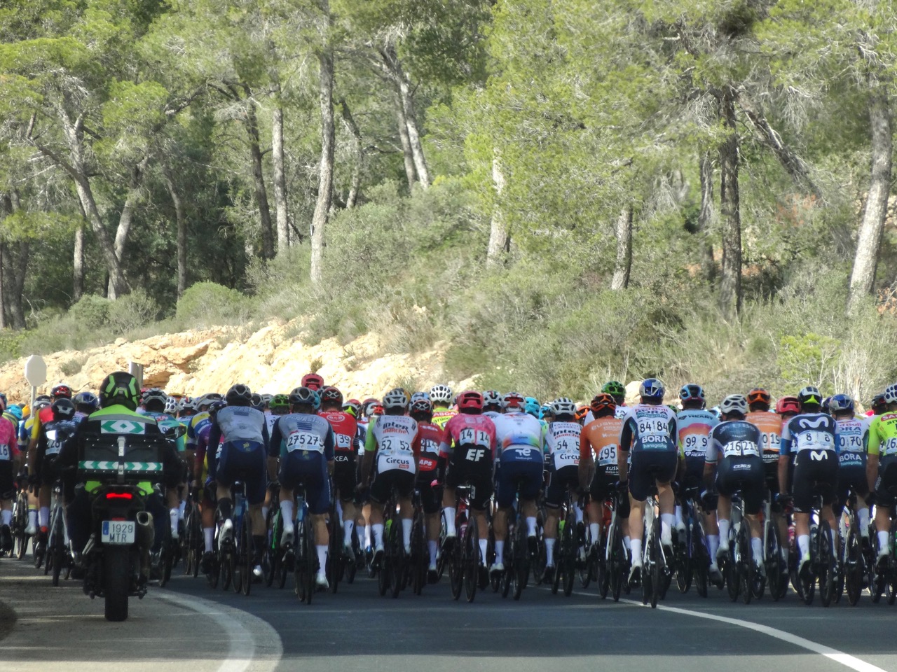 Galerie photos du Trofeo Calvia